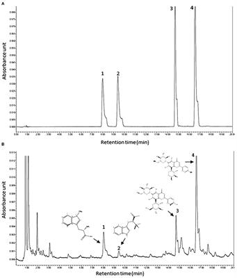 Protective Effects of Abrus cantoniensis Hance on the Fatty Liver Hemorrhagic Syndrome in Laying Hens Based on Liver Metabolomics and Gut Microbiota